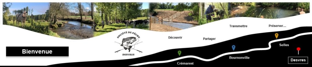 cropped-Bannière-Site.jpg