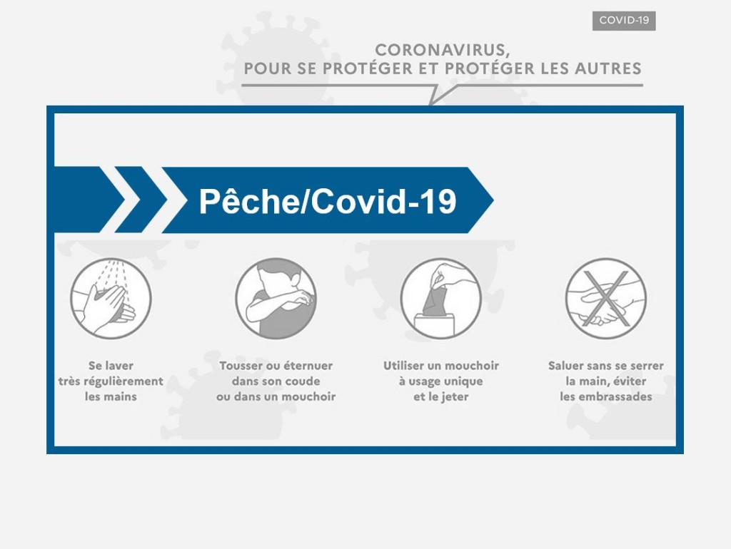 Pêche Covid