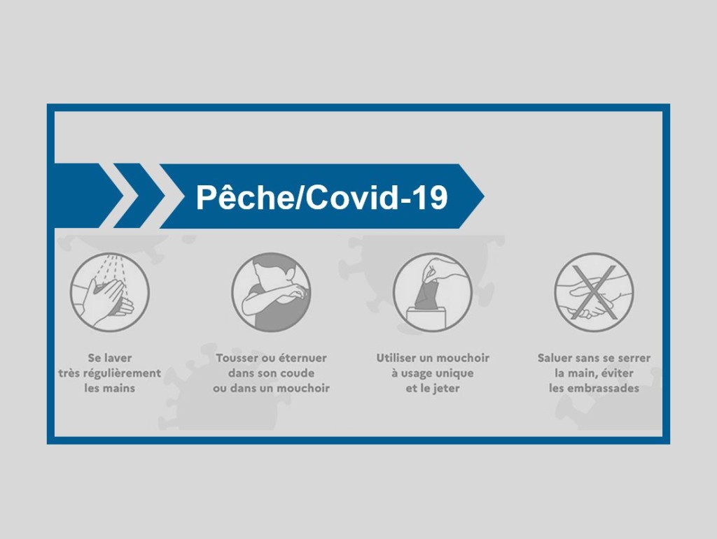 Pêche Covid