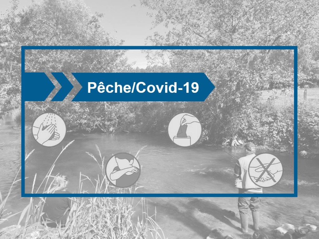 Pêche Covid