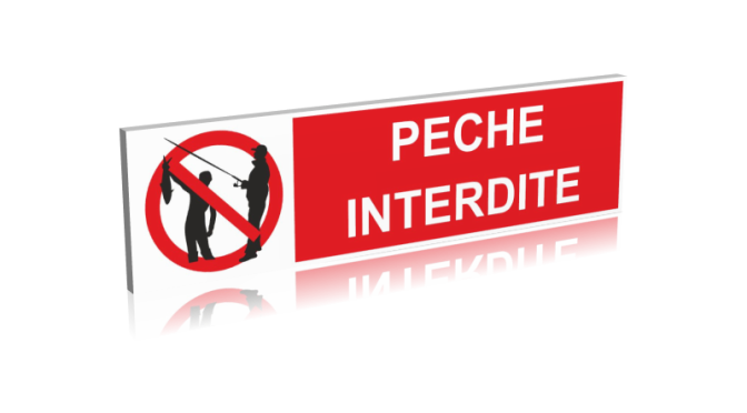 peche-interdite-1277